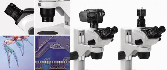 China Os vários acessórios do microscópio estereofônico binocular do zumbido de Trinocular terminam a função fornecedor