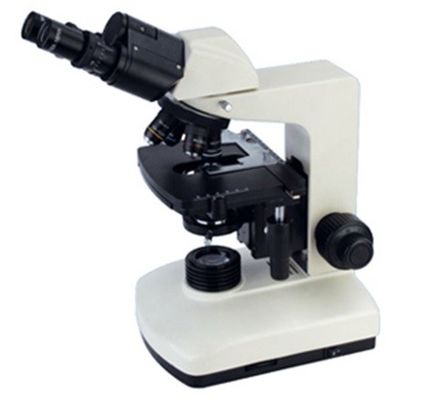 China Microscópio educacional preciso da High School/microscópio biológico binocular fornecedor