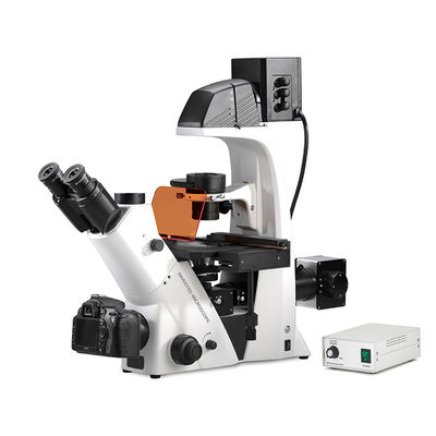 China Trinocular inverteu o microscópio biológico do contraste da fase da fluorescência de Epi do microscópio biológico fornecedor